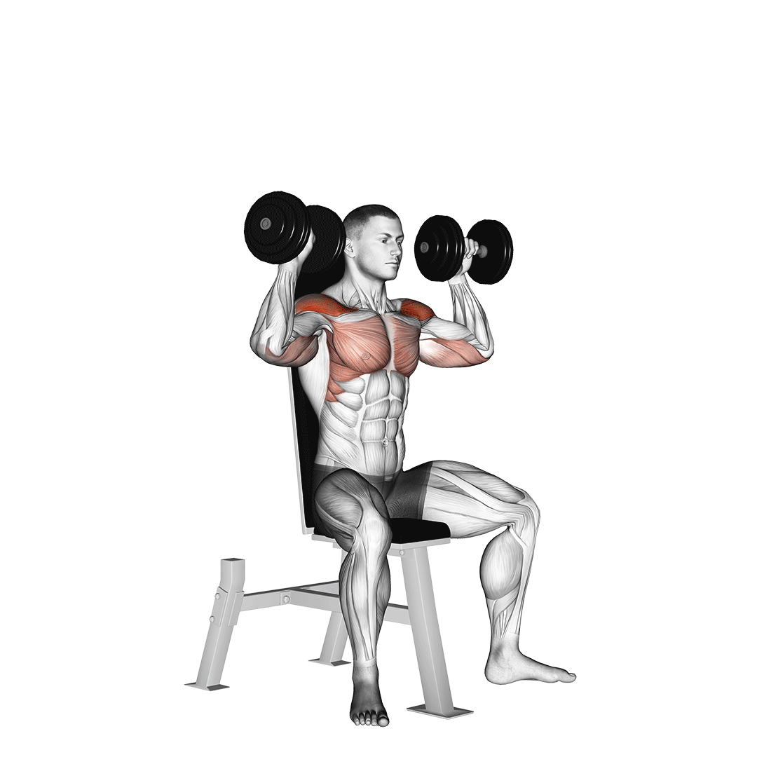 Shoulder Press GIF